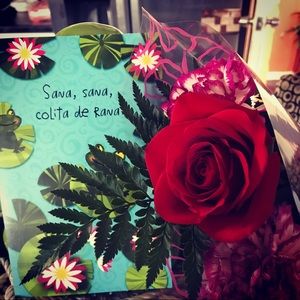 Meet your Posher, Martha